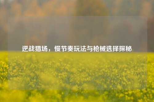 逆战猎场,慢节奏玩法与枪械选择探秘