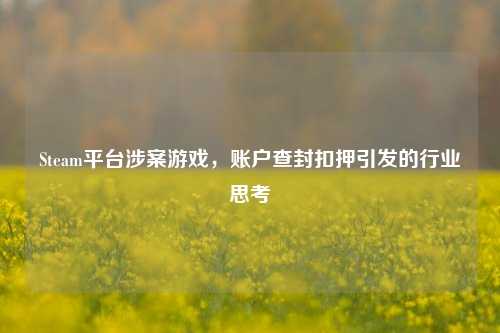 Steam平台涉案游戏,账户查封扣押引发的行业思考