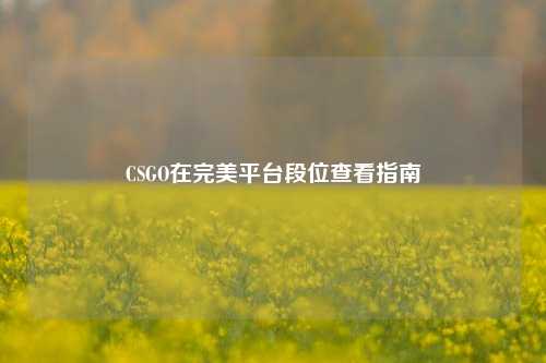 CSGO在完美平台段位查看指南