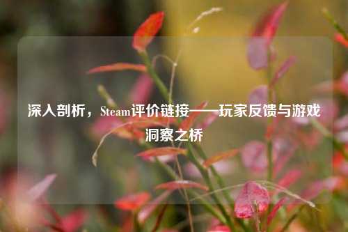 深入剖析，Steam评价链接——玩家反馈与游戏洞察之桥