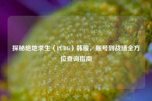 探秘绝地求生(PUBG)韩服,账号到战绩全方位查询指南