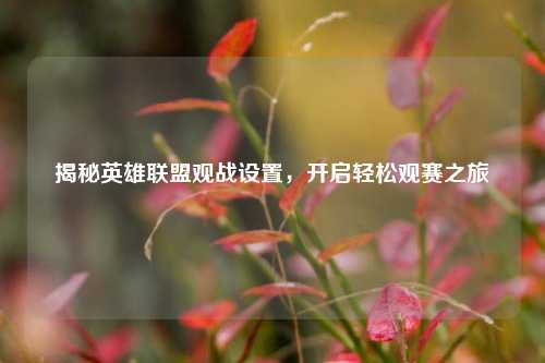 揭秘英雄联盟观战设置,开启轻松观赛之旅