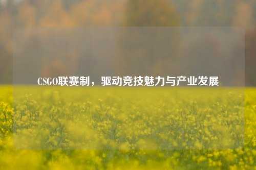 CSGO联赛制,驱动竞技魅力与产业发展