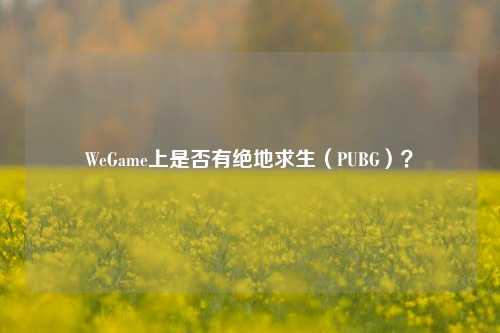 WeGame上是否有绝地求生（PUBG）？