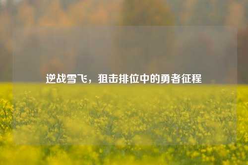 逆战雪飞,狙击排位中的勇者征程
