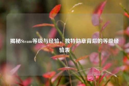 揭秘Steam等级与经验，独特勋章背后的等级经验表