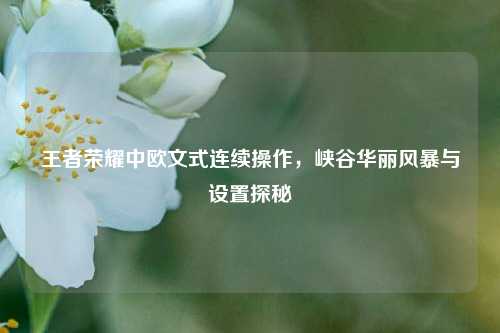 王者荣耀中欧文式连续操作,峡谷华丽风暴与设置探秘