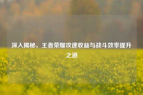 深入揭秘,王者荣耀攻速收益与战斗效率提升之道