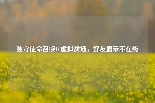 独守使命召唤16虚拟战场,好友显示不在线