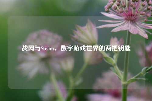战网与Steam,数字游戏世界的两把钥匙