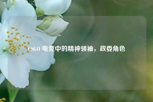 CSGO 电竞中的精神领袖,政委角色