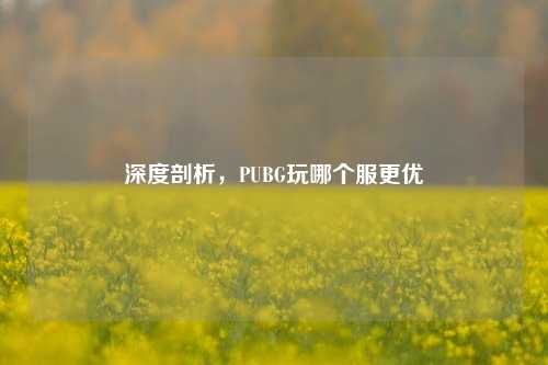 深度剖析，PUBG玩哪个服更优
