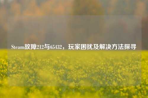 Steam故障212与65432,玩家困扰及解决方法探寻