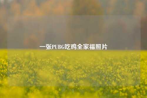 一张PUBG吃鸡全家福照片