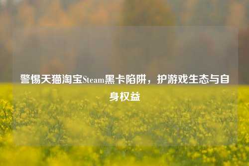 警惕天猫淘宝Steam黑卡陷阱，护游戏生态与自身权益