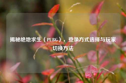 揭秘绝地求生（PUBG），登录方式选择与玩家切换方法