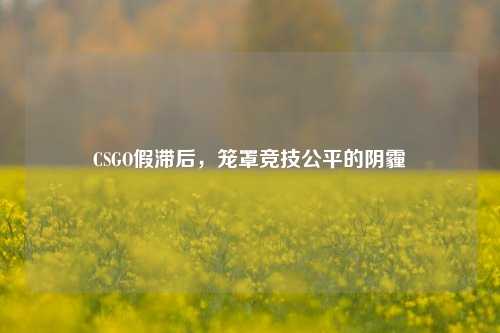CSGO假滞后,笼罩竞技公平的阴霾