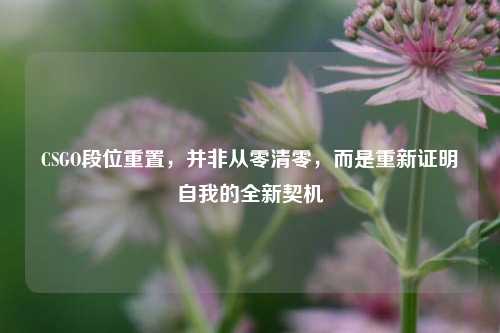 CSGO段位重置，并非从零清零，而是重新证明自我的全新契机