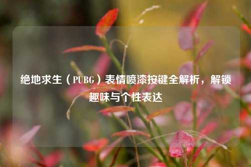 绝地求生(PUBG)表情喷漆按键全解析,解锁趣味与个性表达