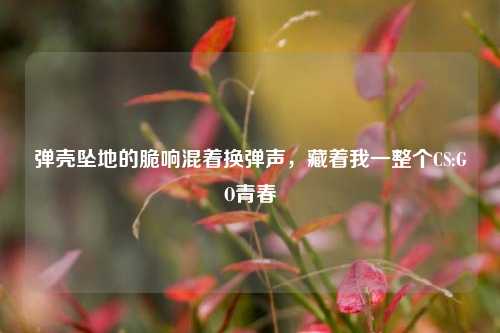 弹壳坠地的脆响混着换弹声,藏着我一整个CS:GO青春