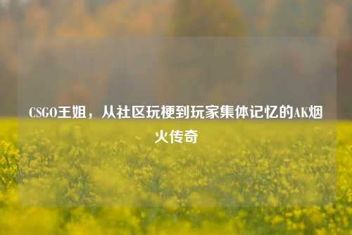 CSGO王姐,从社区玩梗到玩家集体记忆的AK烟火传奇