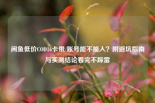 闲鱼低价COD16卡带/账号能不能入?附避坑指南与实测结论看完不踩雷