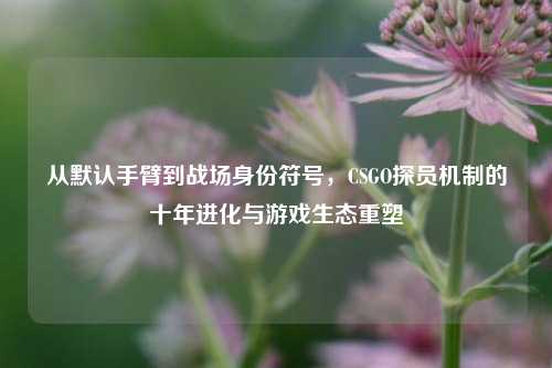 从默认手臂到战场身份符号,CSGO探员机制的十年进化与游戏生态重塑