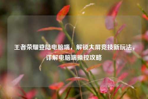 王者荣耀登陆电脑端，解锁大屏竞技新玩法，详解电脑端操控攻略
