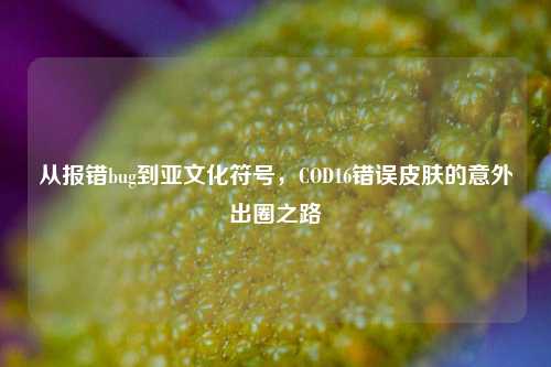 从报错bug到亚文化符号,COD16错误皮肤的意外出圈之路