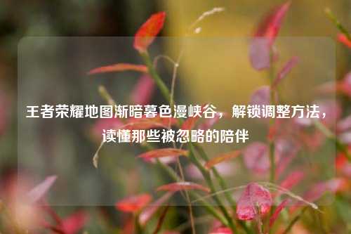 王者荣耀地图渐暗暮色漫峡谷，解锁调整方法，读懂那些被忽略的陪伴