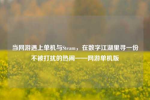 当网游遇上单机与Steam，在数字江湖里寻一份不被打扰的热闹——网游单机版