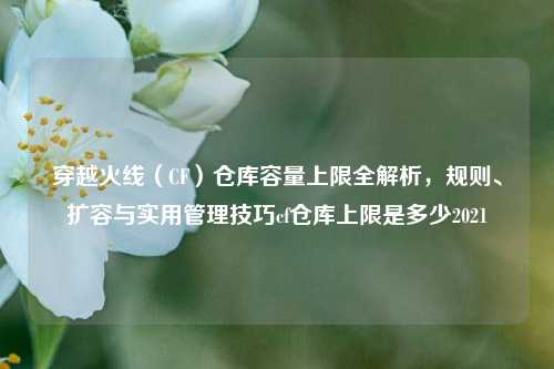 穿越火线（CF）仓库容量上限全解析，规则、扩容与实用管理技巧cf仓库上限是多少2021
