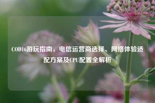 COD16游玩指南，电信运营商选择、网络体验适配方案及CPU配置全解析