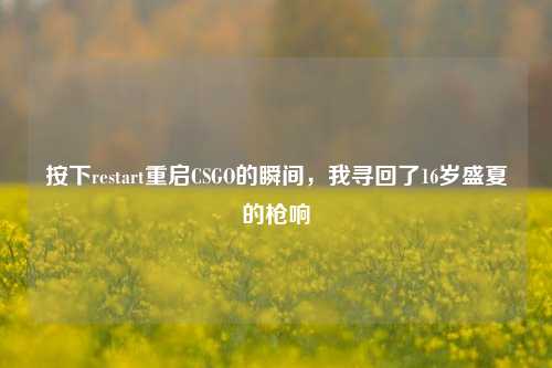 按下restart重启CSGO的瞬间,我寻回了16岁盛夏的枪响