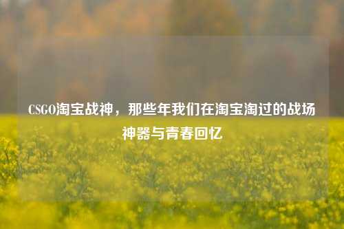 CSGO淘宝战神,那些年我们在淘宝淘过的战场神器与青春回忆