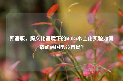 韩语版,跨文化语境下的MOBA本土化实验如何撬动韩国电竞市场?
