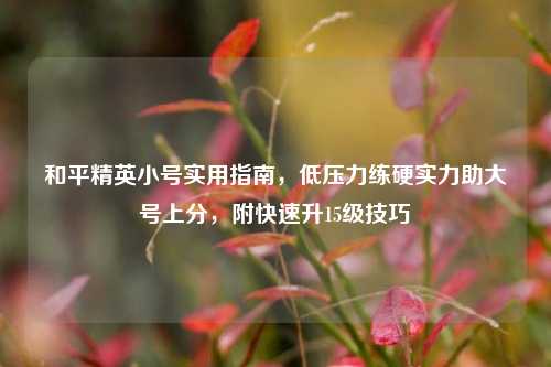 和平精英小号实用指南,低压力练硬实力助大号上分,附快速升15级技巧