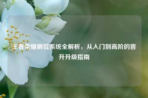 王者荣耀爵位系统全解析,从入门到高阶的晋升升级指南