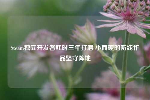 Steam独立开发者耗时三年打磨 小而硬的防线作品坚守阵地