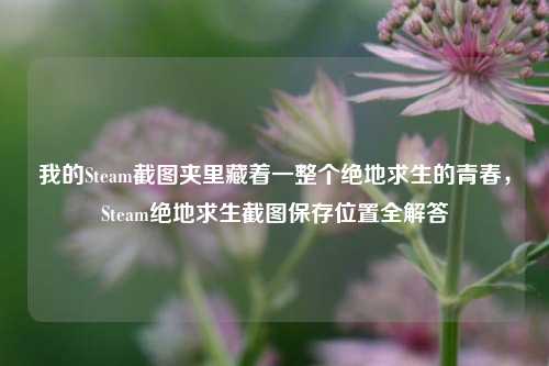 我的Steam截图夹里藏着一整个绝地求生的青春，Steam绝地求生截图保存位置全解答
