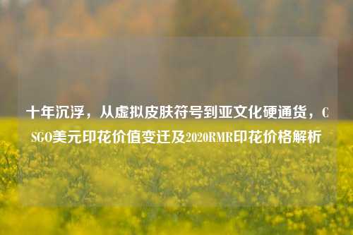 十年沉浮,从虚拟皮肤符号到亚文化硬通货,CSGO美元印花价值变迁及2020RMR印花价格解析