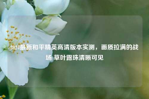 2024最新和平精英高清版本实测,画质拉满的战场 草叶露珠清晰可见