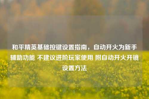 和平精英基础按键设置指南,自动开火为新手辅助功能 不建议进阶玩家使用 附自动开火开镜设置方法