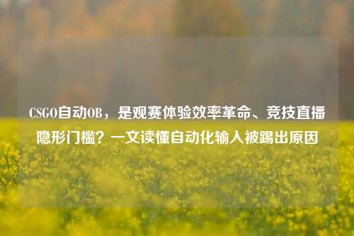 CSGO自动OB,是观赛体验效率革命、竞技直播隐形门槛?一文读懂自动化输入被踢出原因