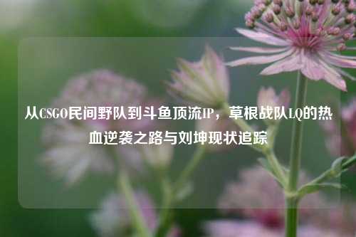 从CSGO民间野队到斗鱼顶流IP,草根战队LQ的热血逆袭之路与刘坤现状追踪