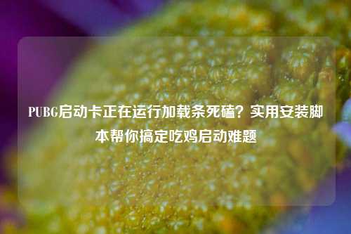 PUBG启动卡正在运行加载条死磕?实用安装脚本帮你搞定吃鸡启动难题