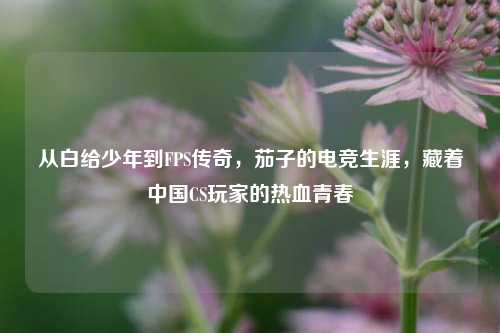 从白给少年到FPS传奇，茄子的电竞生涯，藏着中国CS玩家的热血青春