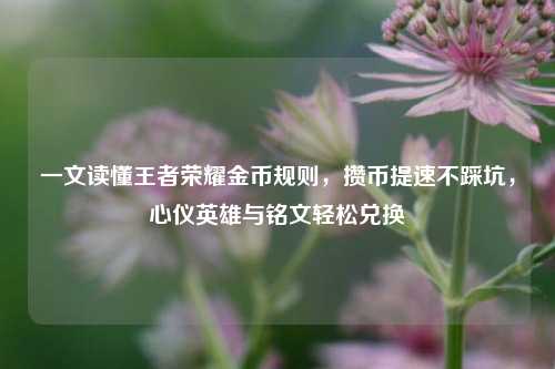 一文读懂王者荣耀金币规则,攒币提速不踩坑,心仪英雄与铭文轻松兑换