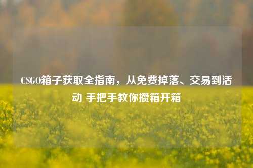 CSGO箱子获取全指南,从免费掉落、交易到活动 手把手教你攒箱开箱