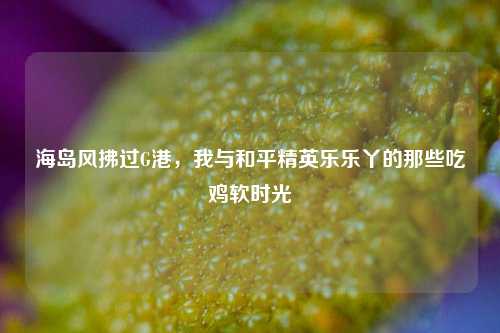 海岛风拂过G港，我与和平精英乐乐丫的那些吃鸡软时光